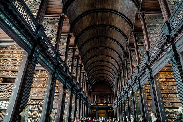 Library Dublin